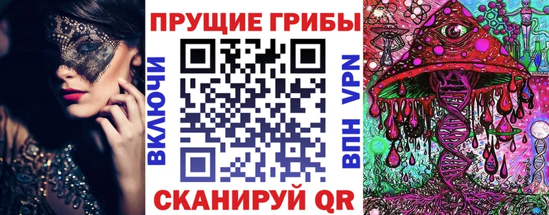 Псилоцибиновые грибы Psilocybine cubensis  Купить где  Ахтырский 