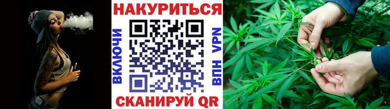МАРИХУАНА план Ахтырский